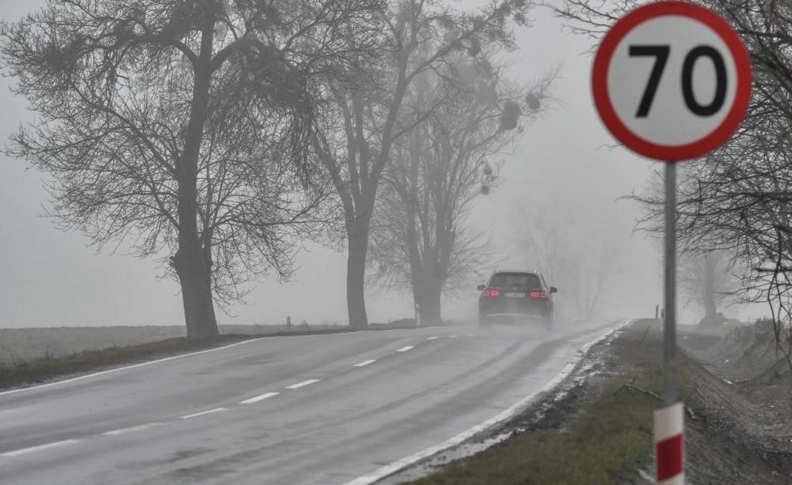 wolniejsza jazda wymuszona wysokimi karami przynosi efekty - mniej śmiertelnych wypadków