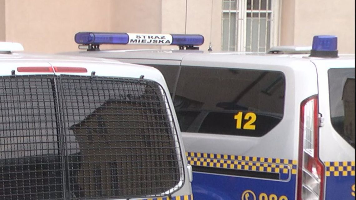 Wydawali się nieuchwytni. Złapani na gorącym uczynku przez Straż Miejską