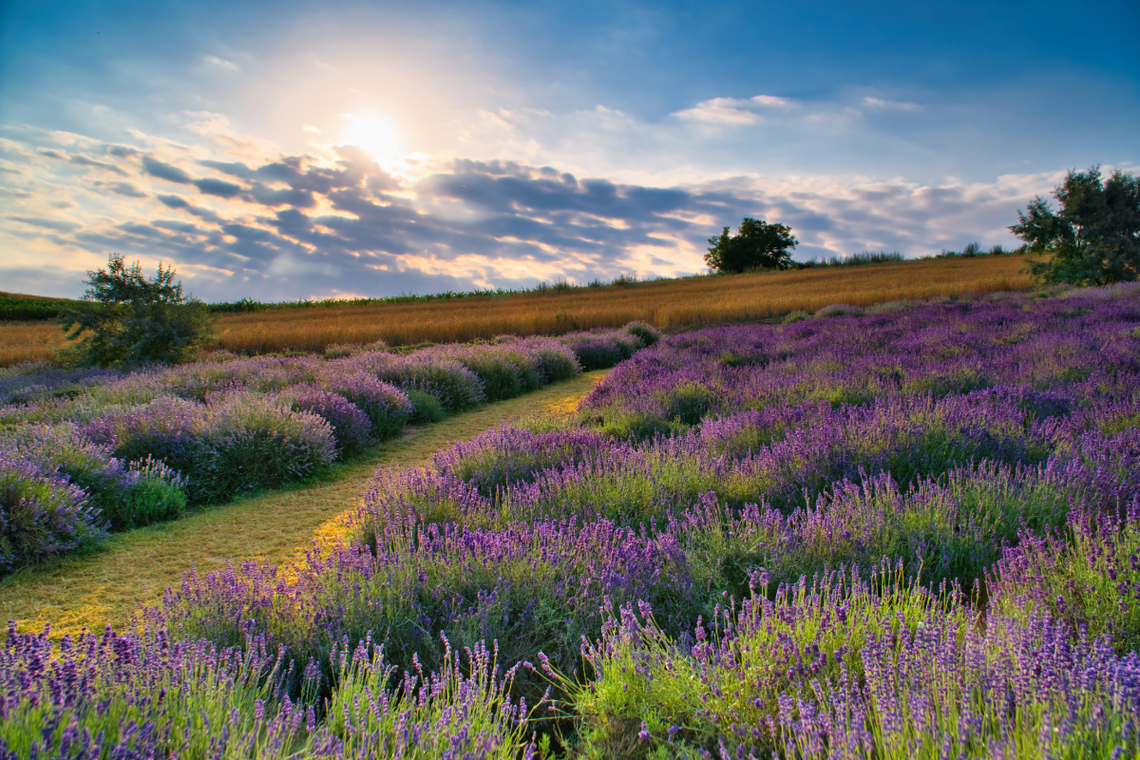 Wypoczynek w regionie z korzyścią dla zdrowia. Świętokrzyskie uzdrowiska, które warto odwiedzić!
