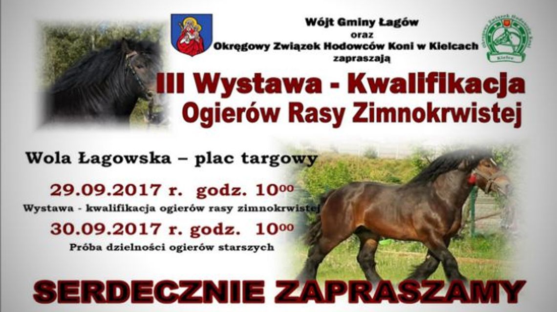 Wystawa Ogierów Rasy Zimnokrwistej