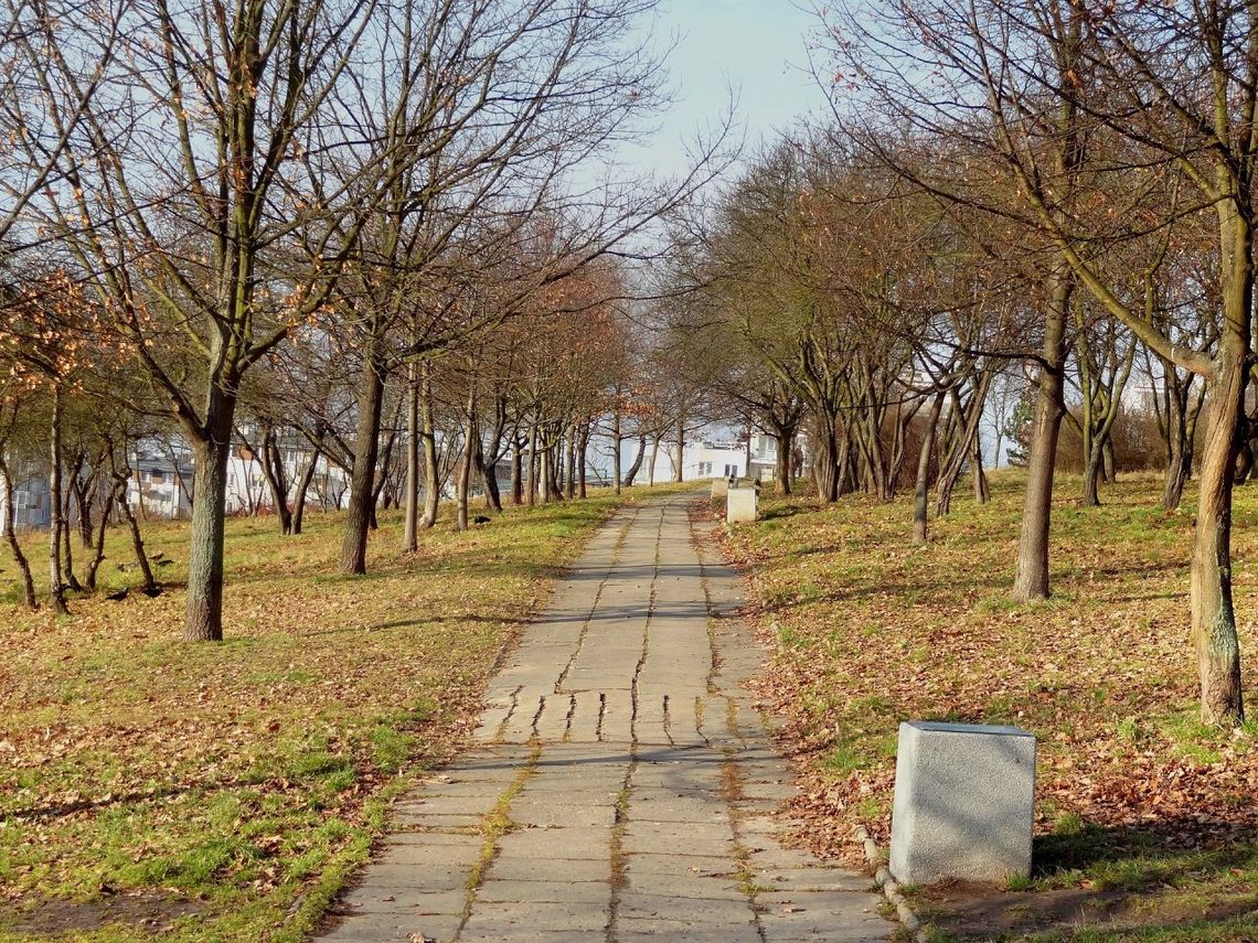 Zakaz przebywania w parkach i miejskich rezerwatach Zakaz przebywania w parkach i miejskich rezerwatach